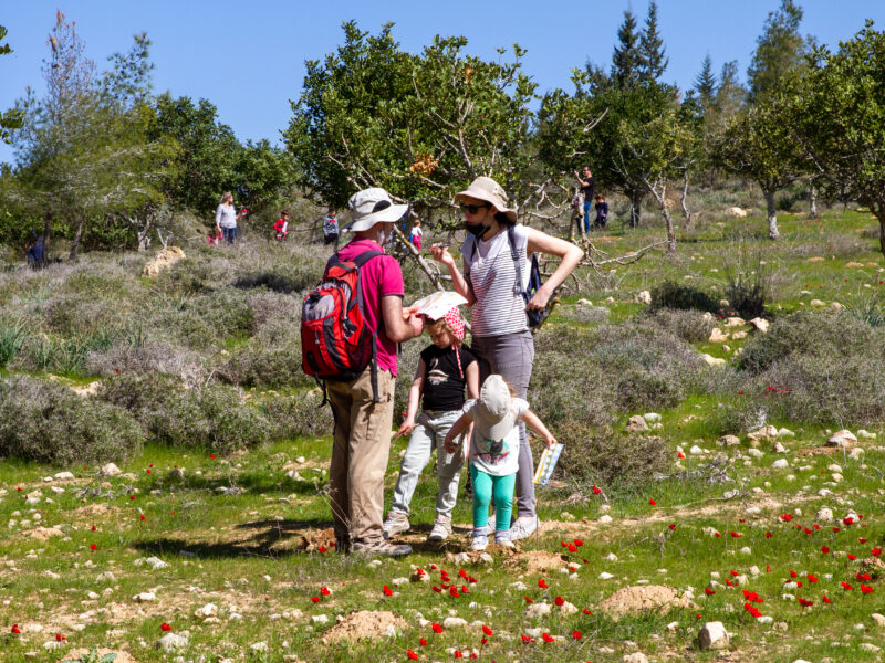 ספורט אתגרי ופעילויות שטח