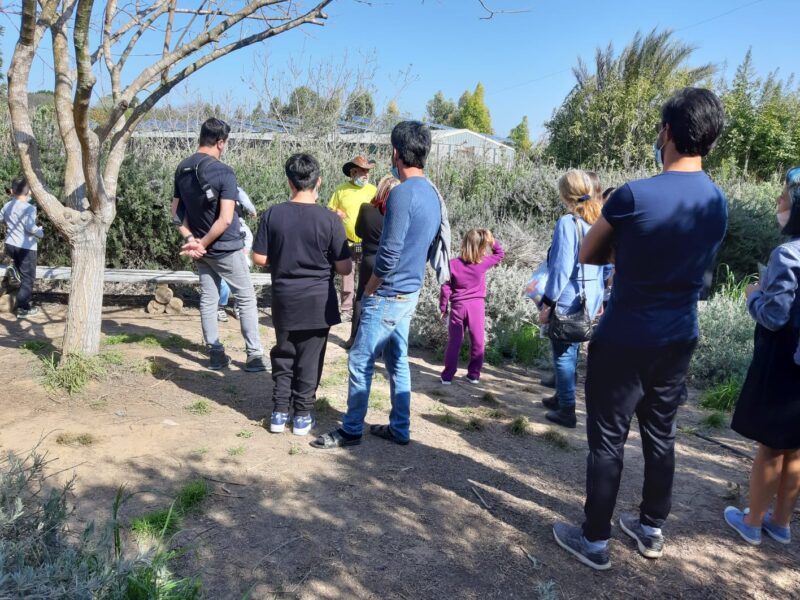 מבוך מרים: בשביל התבלינים והבשמים מבוך מרים: בשביל התבלינים והבשמים