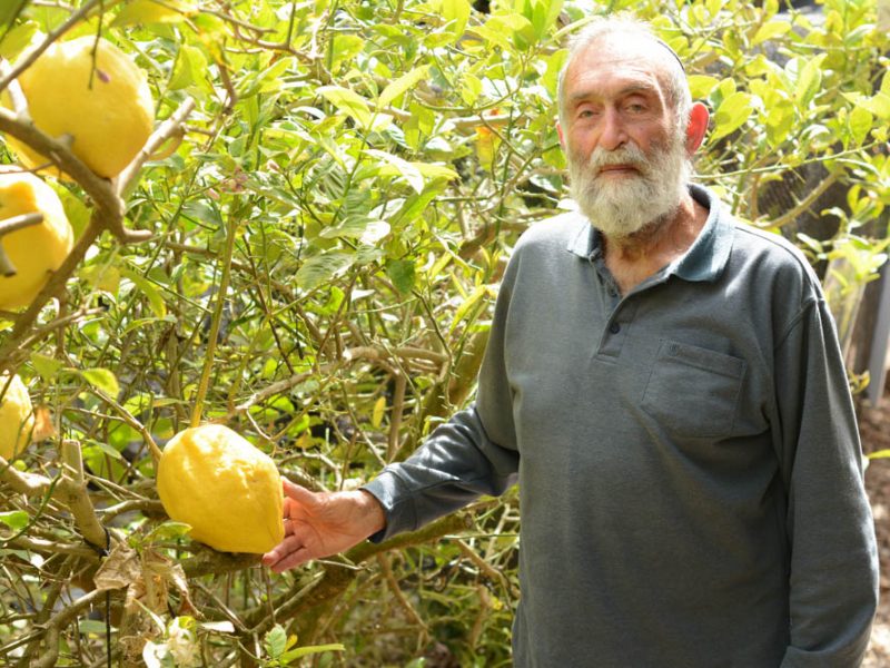 בחצר של אורה