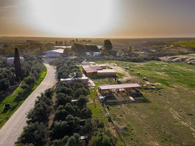 חוות נעמ"א