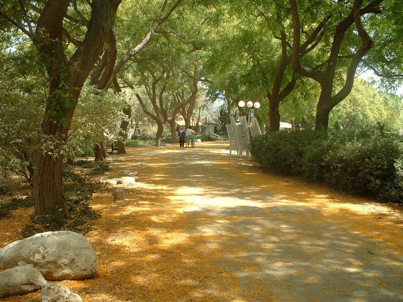 גן בוטני נקודה ירוקה