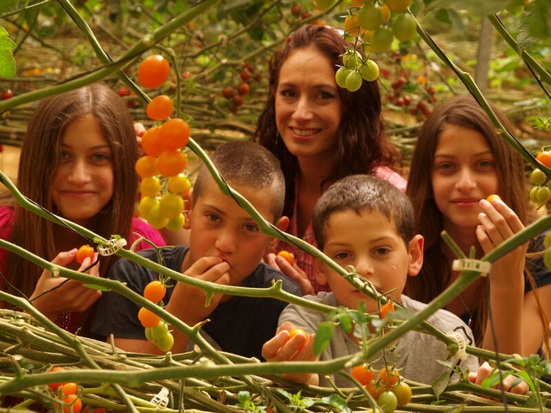 קטיף לי