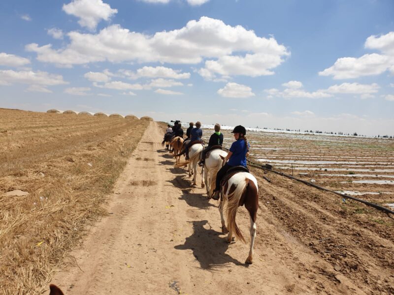 בר במדבר בי"ס לרכיבה בר במדבר בי"ס לרכיבה