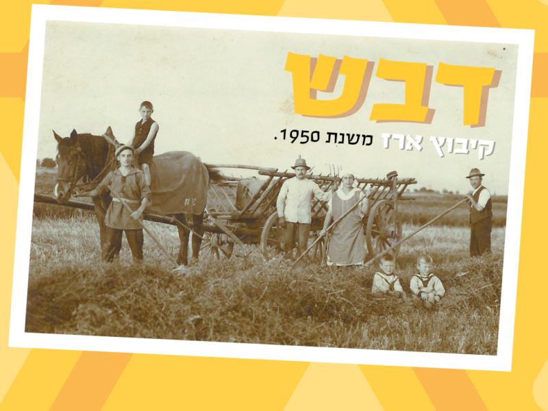 דבש קיבוץ ארז
