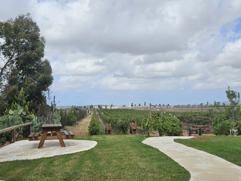 20240916 104643.Jpg דורון נחמני (גאולה בר)