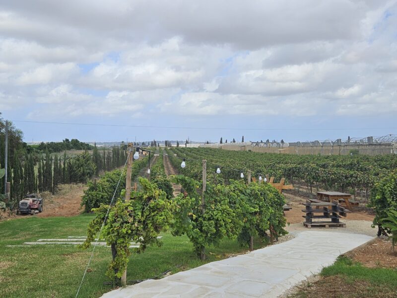 20240916 104801.Jpg דורון נחמני (גאולה בר)