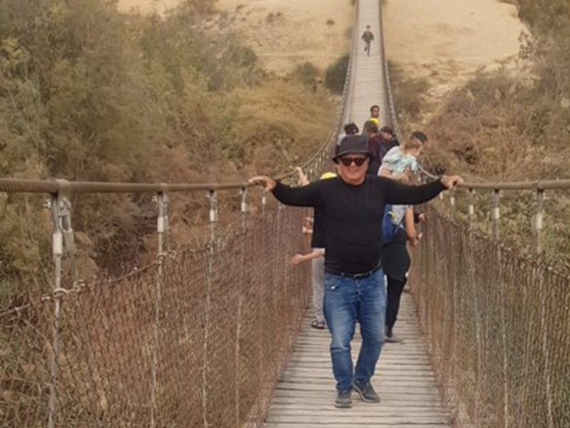 מוסדות וארגונים