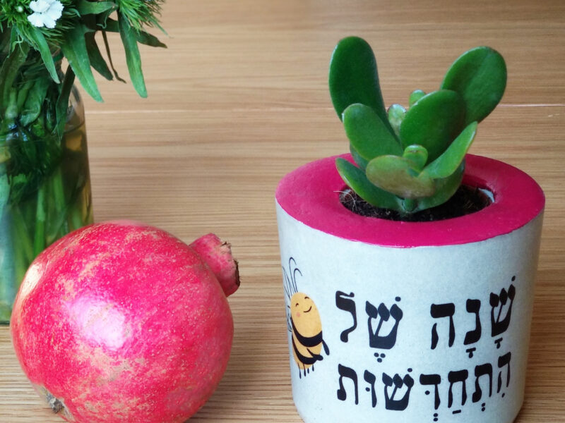הדס זגרון – עיצוב. איור. חיוך.
