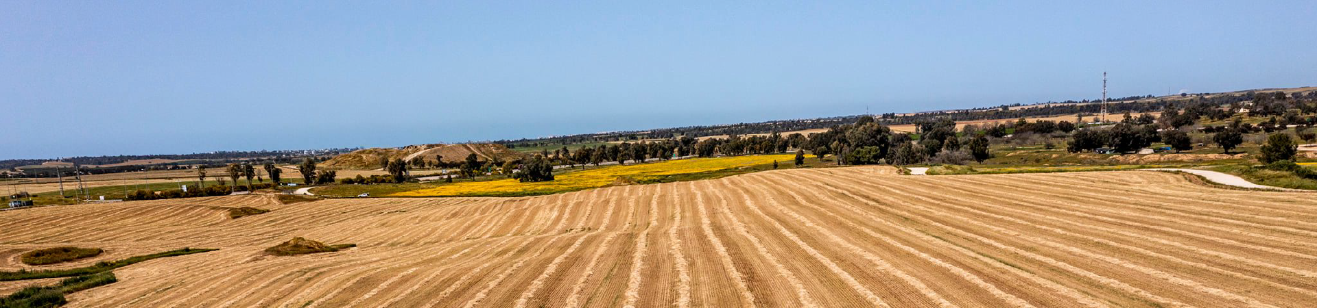 ברוכים הבאים לצפון הנגב ברוכים הבאים לצפון הנגב