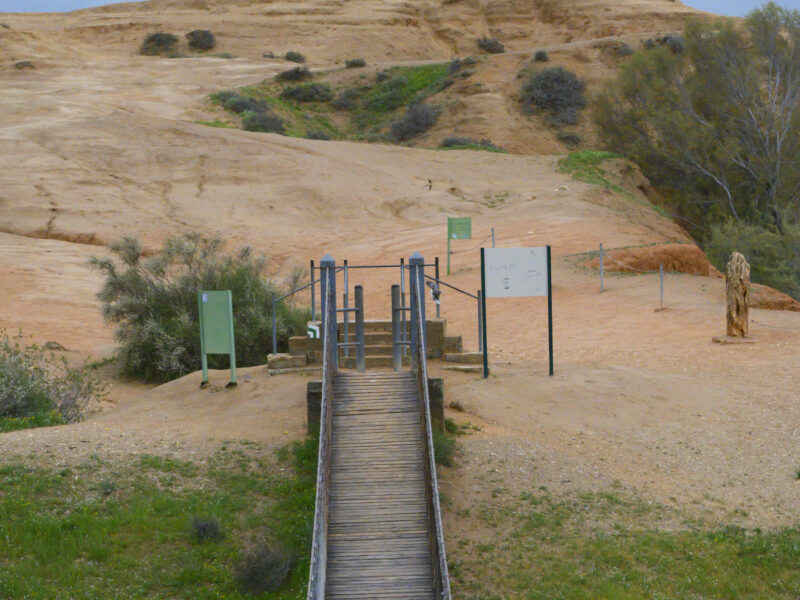 The Besor River Suspension Bridge