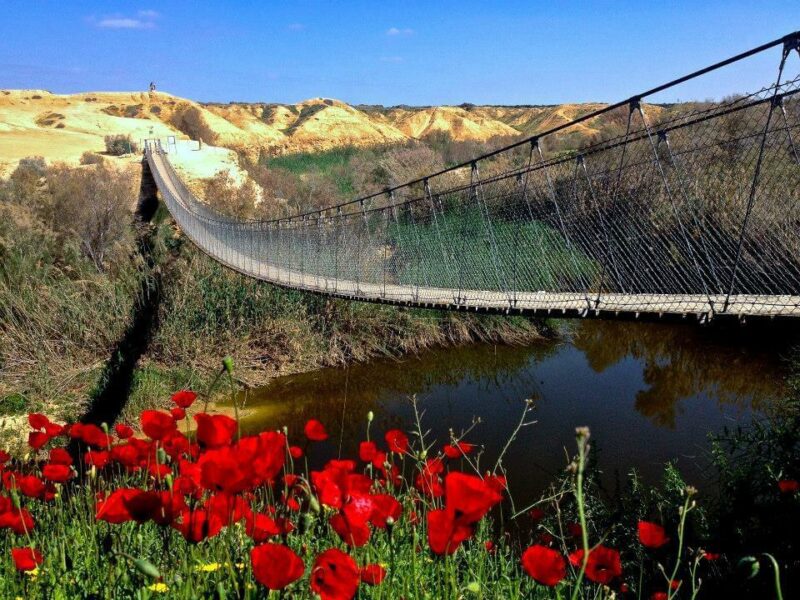 The Besor River Suspension Bridge