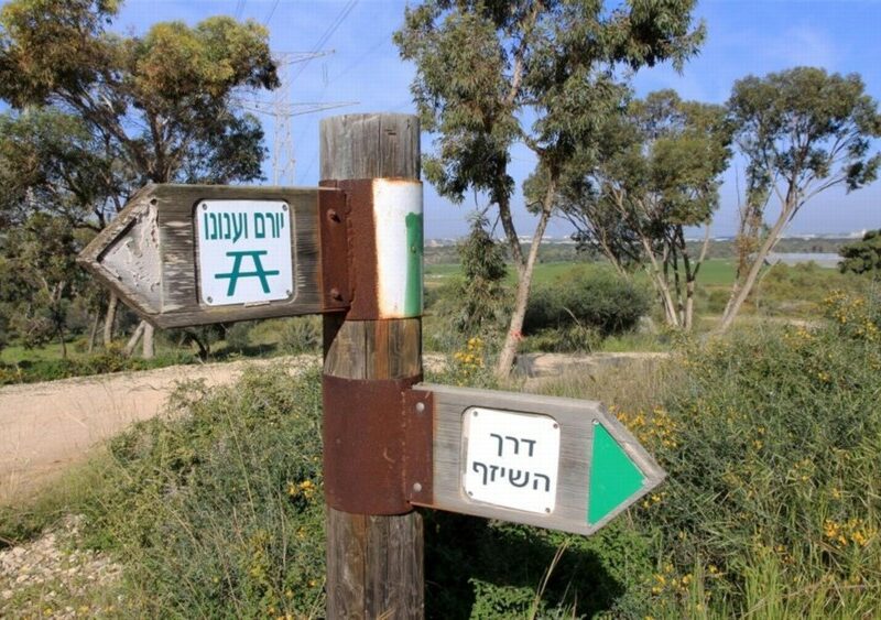 חניון יורם וענונו