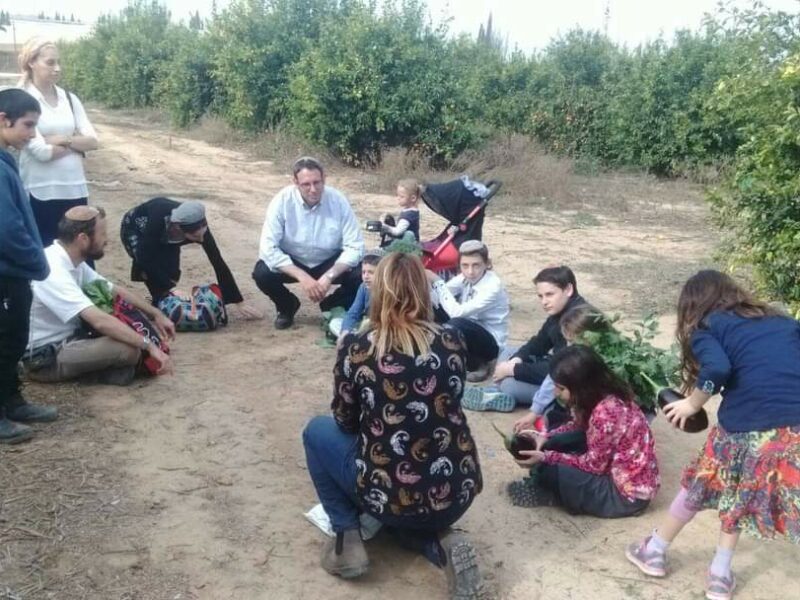 כרם המעשים הטובים