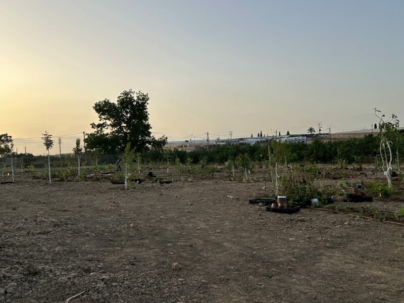 Farm 1 – Agricultural tourism experience
