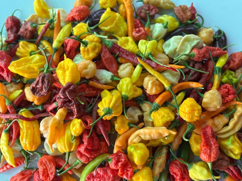 דינר הבית של החריף (3)