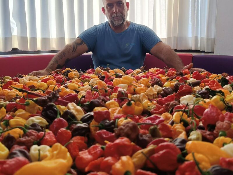 Spicy with dinars