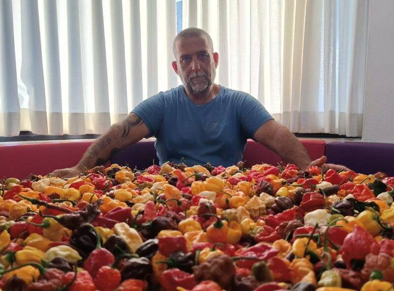 הדינרים בית של חריף